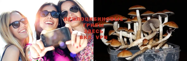 гидра Армянск