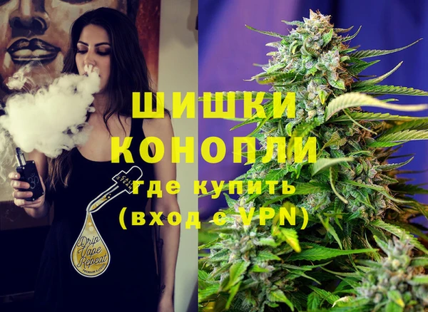 гидра Армянск