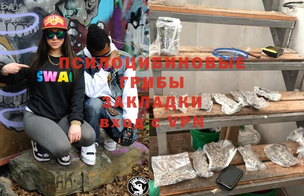 гидра Армянск