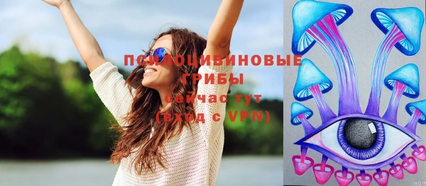 PSILOCYBIN Балабаново