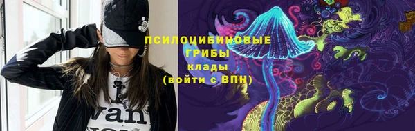 шишки Баксан