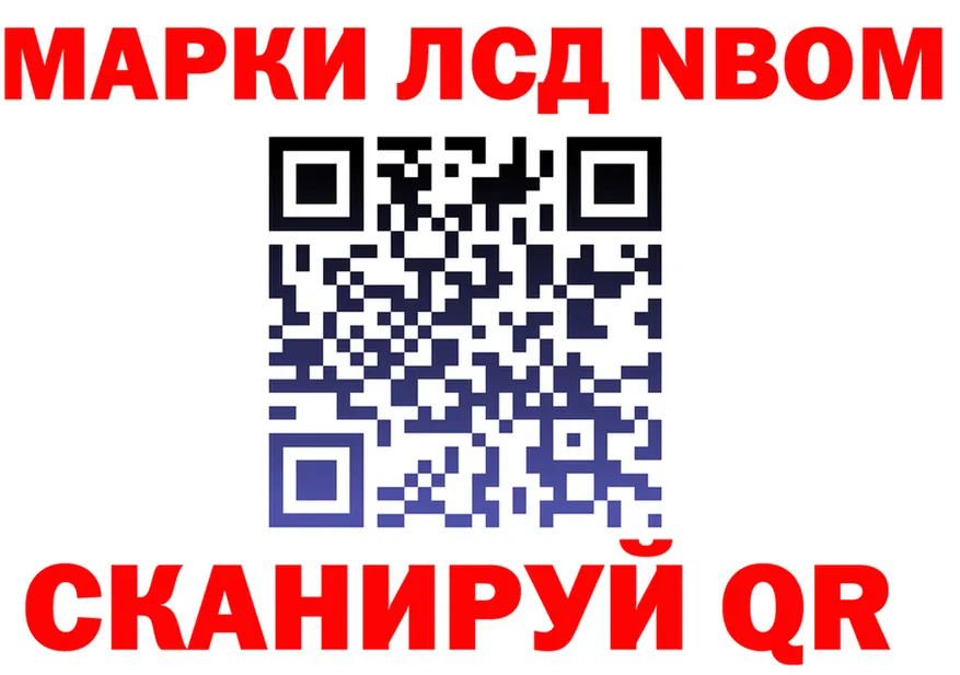 ГАШ Изолятор маркетплейс маркетплейс OMG Лермонтов