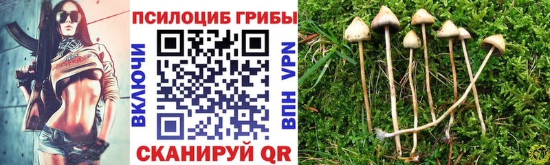 Галлюциногенные грибы MAGIC MUSHROOMS  Купить  Лермонтов 